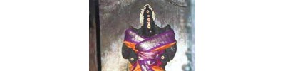 மேல் படப்பை